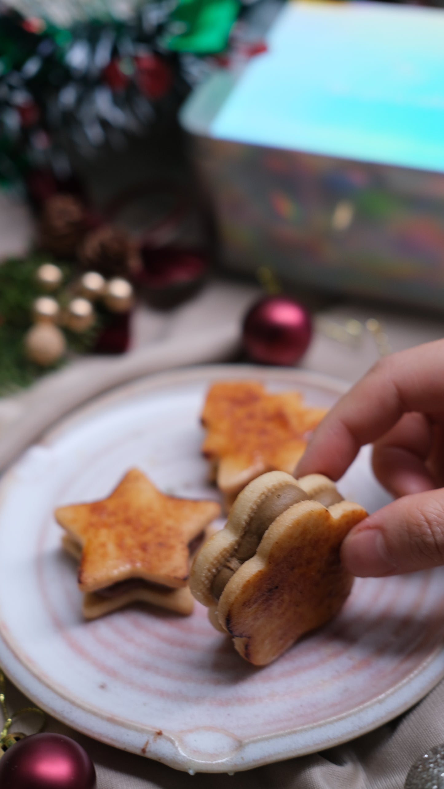 ⏐聖誕限定禮盒⏐純素手工夾心曲奇禮盒