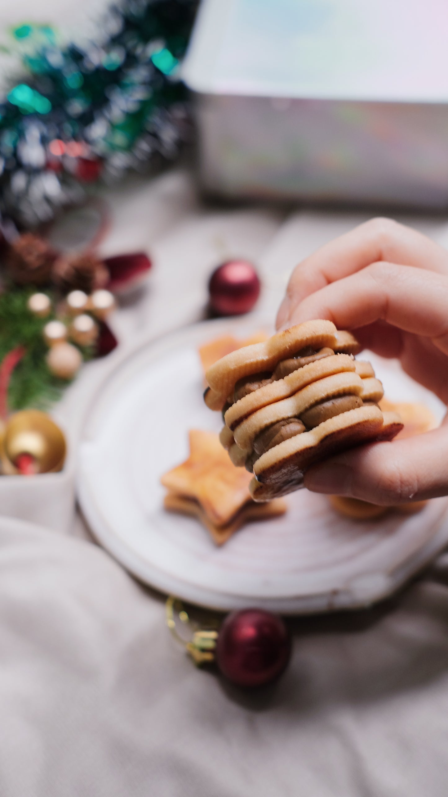 ⏐聖誕限定禮盒⏐純素手工夾心曲奇禮盒